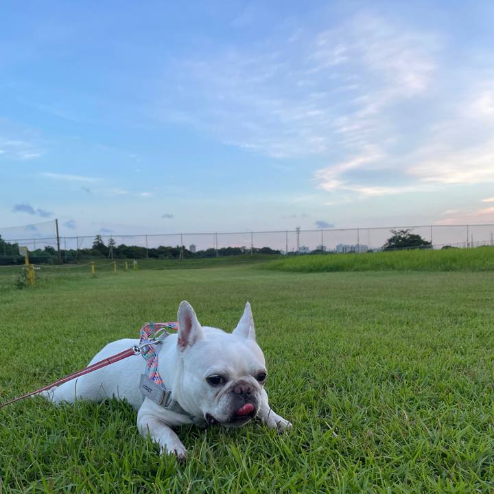 994a4e5d 77b6 459f ac9d 7eb678790f83 1753268588301