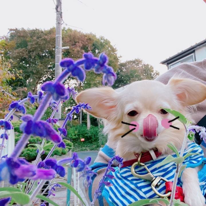 994a6498 d722 417c b2f0 628c83f72ace 1636006276097