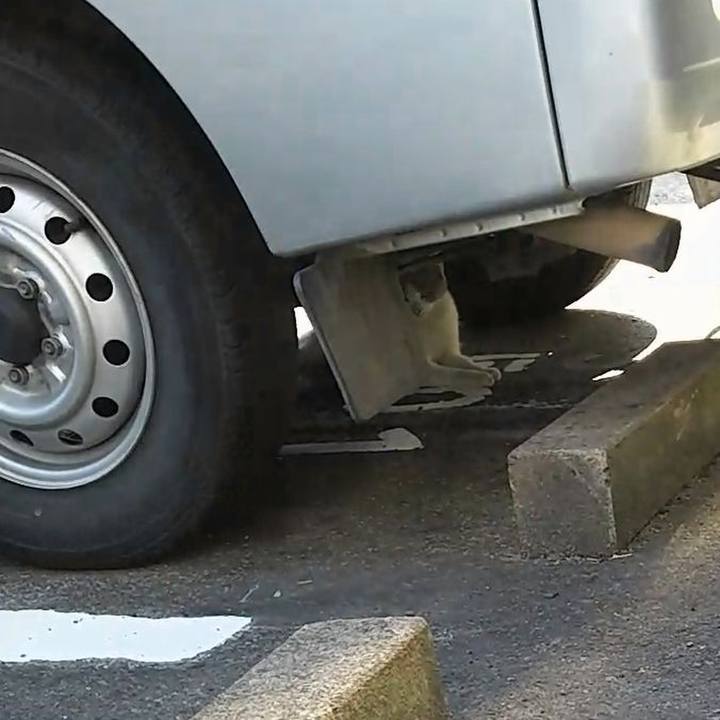 994ab2dd 0bbe 45c0 a4c6 bace27a58b8f 1565395148392