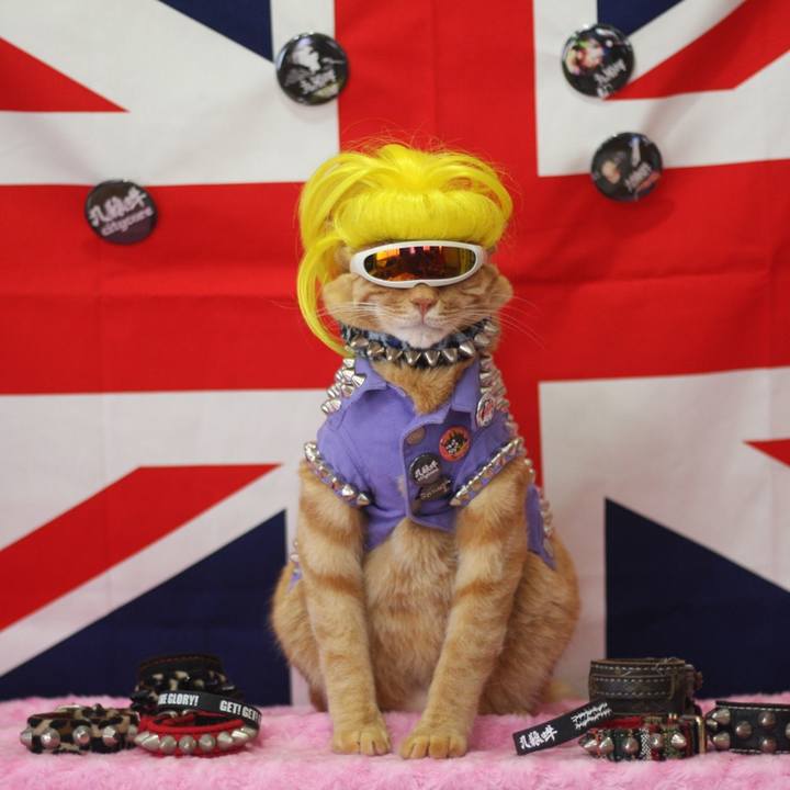 994ad1b4 c10a 4a68 85aa d82d8ebfe873 1662295842264