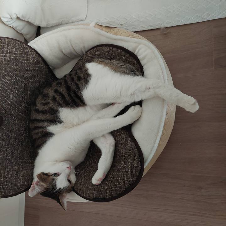 994ad484 e94e 4a43 9b69 026e03651463 1642633009162