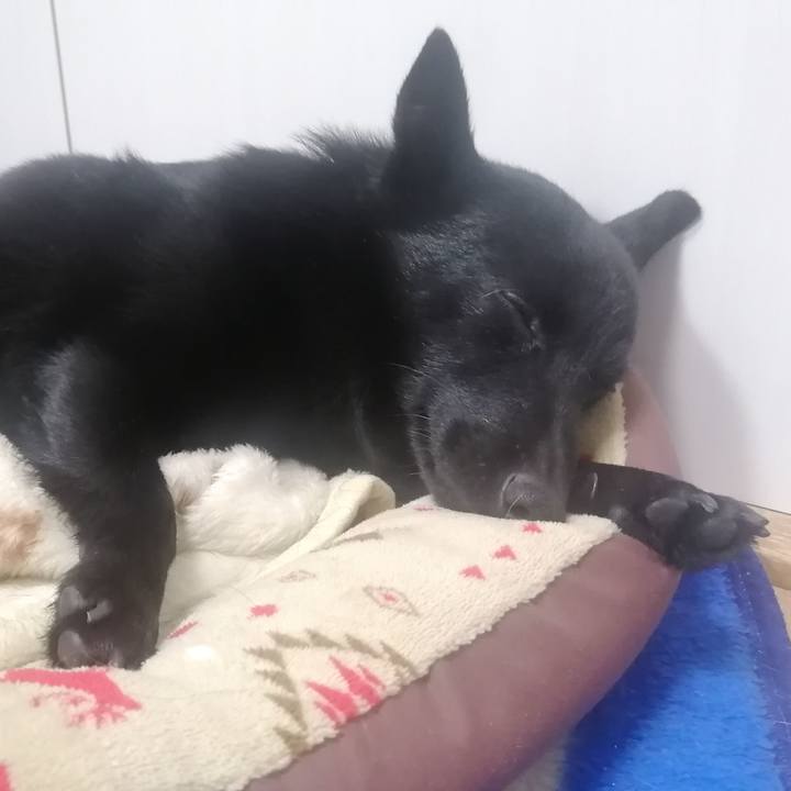 994af2bc 199f 4323 b57b 799b303f13e0 1642682826200