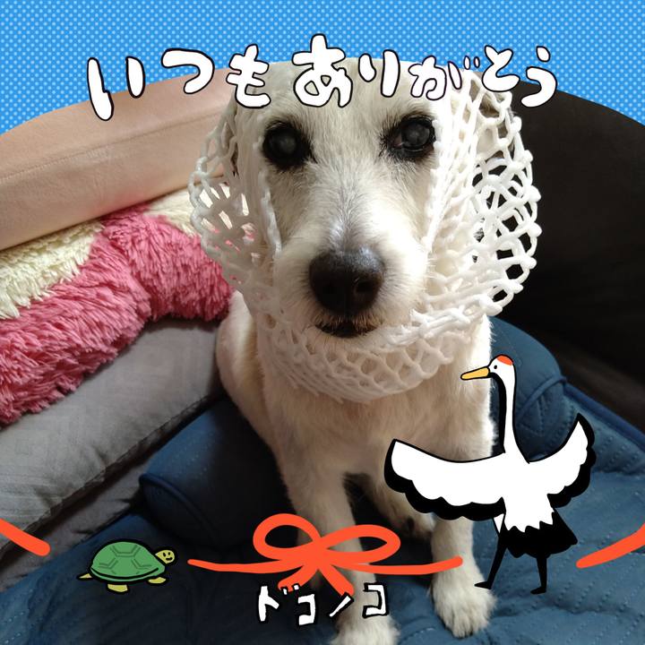 994b29e0 74f0 4226 ac0b 3ee4fdd4bf5a 1726917547429