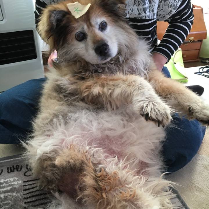 994b4728 a715 4889 ad6d 86b4411552dd 1590378378814