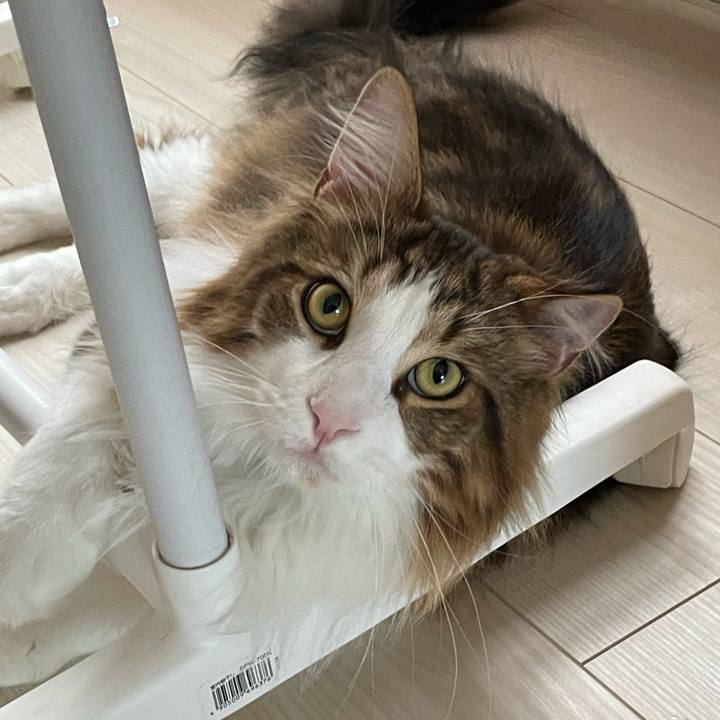 994bca4e f018 461c 8a6b d5ce08757aba 1655158341426