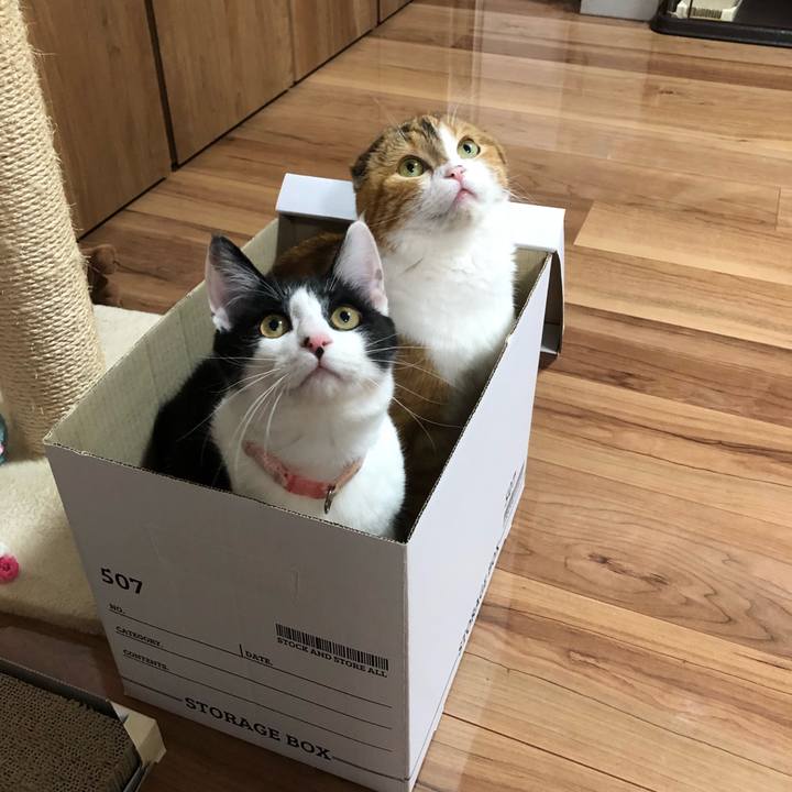 994be229 42e0 4d17 aa1c 14fa77f0ee23 1619262548241