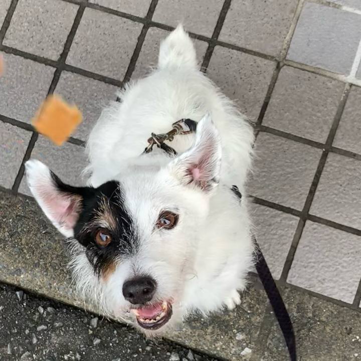 994befb8 bf07 4931 9547 0881dca547c9 1725232612733