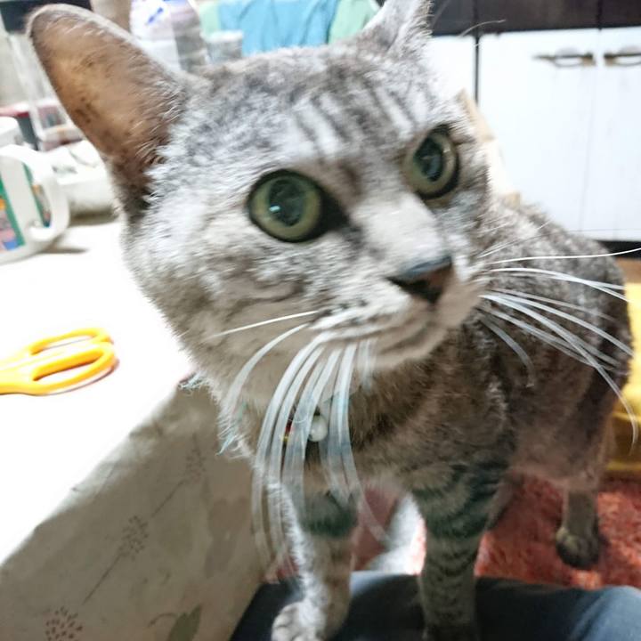 994c044d 161a 43da 9ee3 dbfd631bac9e 1602705900880