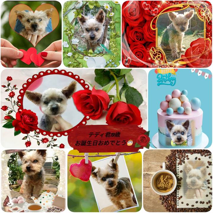 994c1749 7617 4c59 8c3e 1839050bbff5 1617041152514