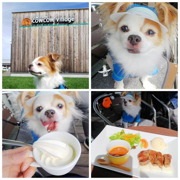 994c384c 4ef3 4929 a9c0 c105337fe526 1535864592028