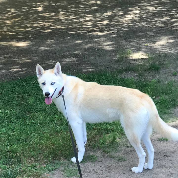 994c5d64 f503 452a a8fb c81d1621ef47 1531213217540