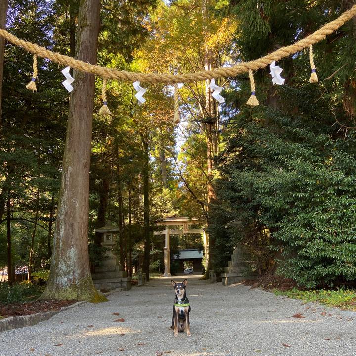 994c9174 9714 44fd 9759 4f1556cb5bd3 1605178559288