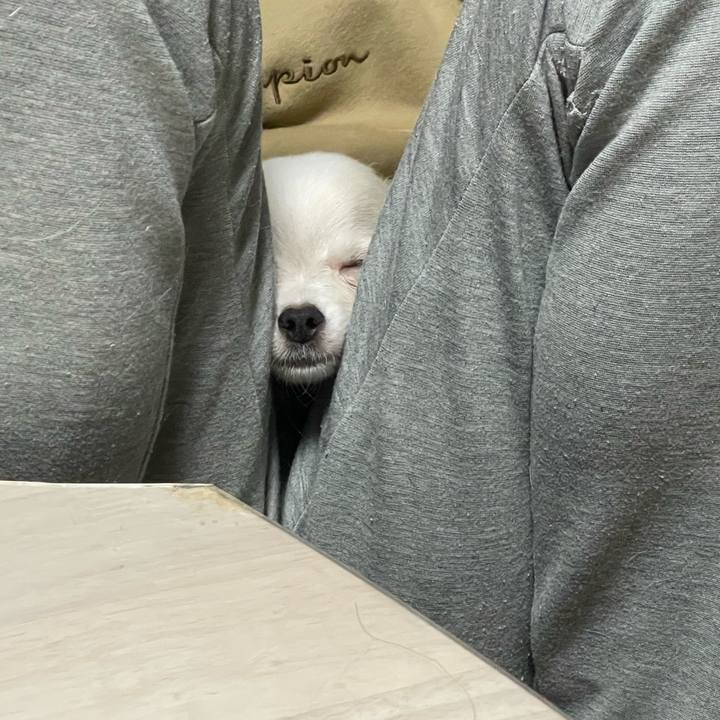 994c98db 330b 40e7 adae a1c4c64640b9 1675177179884