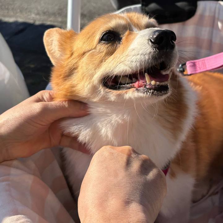 994cad9b 6eba 4610 b60b de58e3618d71 1734235690976