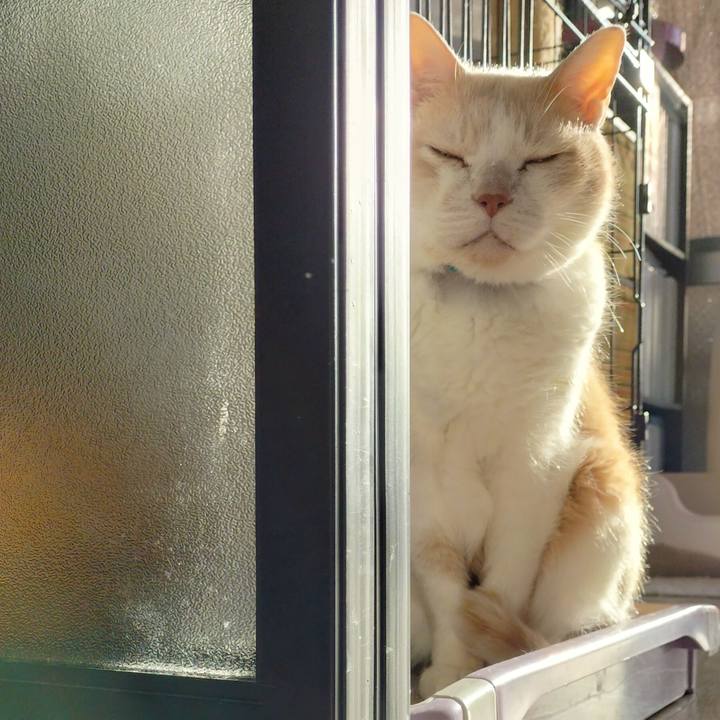 994cb50b 349c 49c8 bc3c a88bec1a2e8c 1679265022203