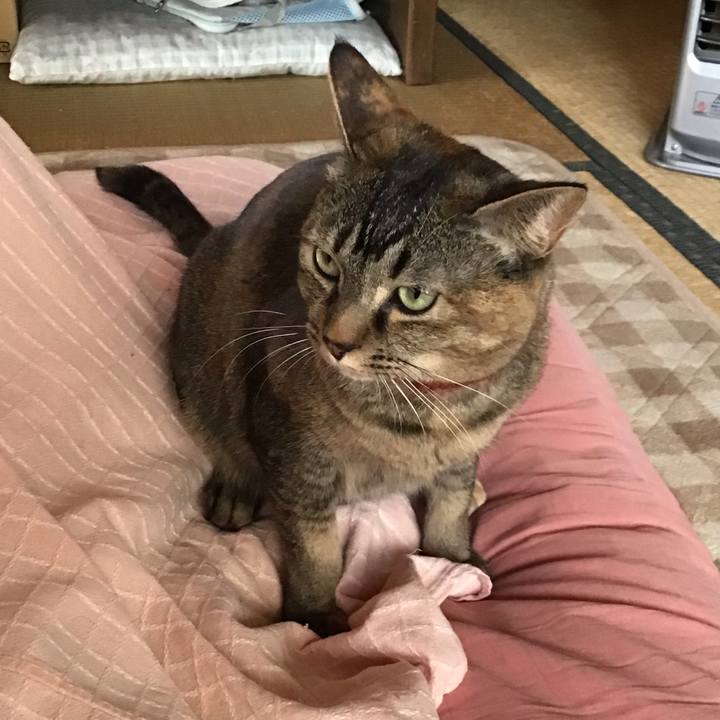 994cf87e b6b7 427f 884d b661f4152744 1642401388772