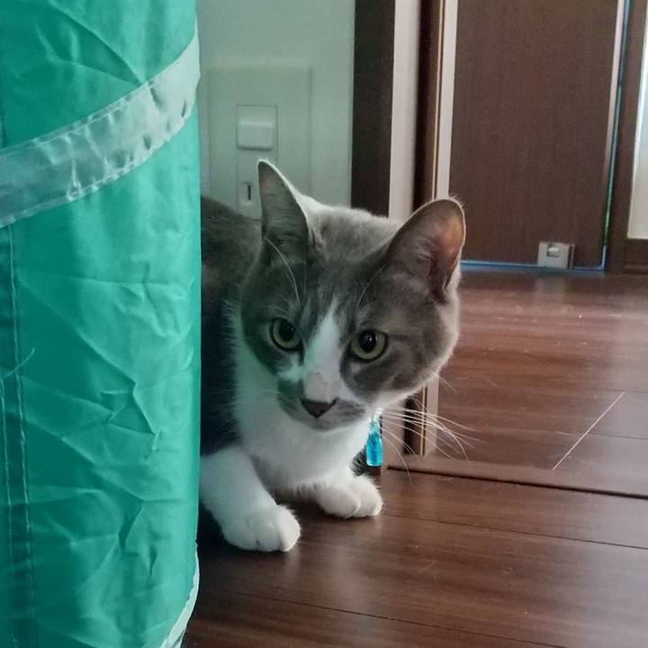 994d1248 7a45 4522 b363 13501e427809 1619818422145