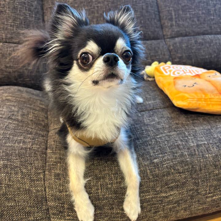 994d2ad8 698a 476e a271 7bd87420082f 1722701063042