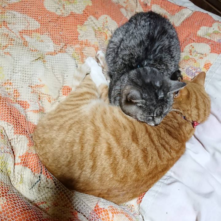 994d2adf 9ce7 4bb9 89d0 74a8b3314c3c 1577621817968