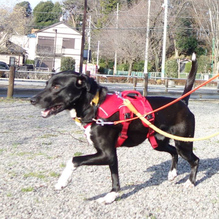 994d45b0 be41 4c43 a95b 011a34082e7b 1582505023854