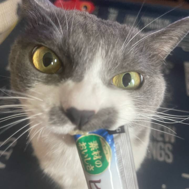 994d472d 5a34 4203 ac14 6e05919c1c9b 1721282939229