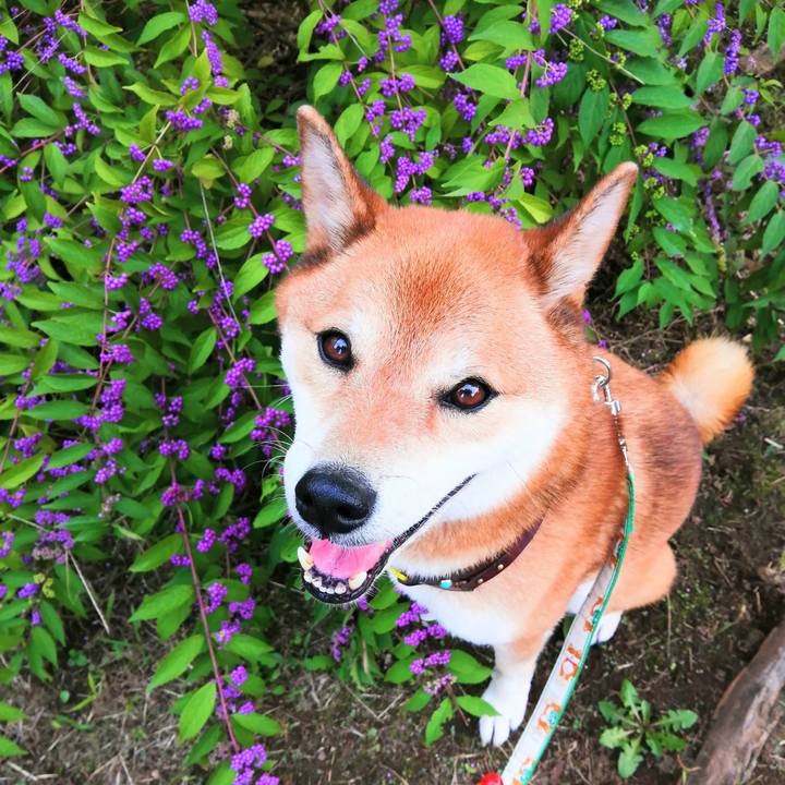 994d8e0a 3da2 4226 b2e9 7d88031e475e 1631529381448