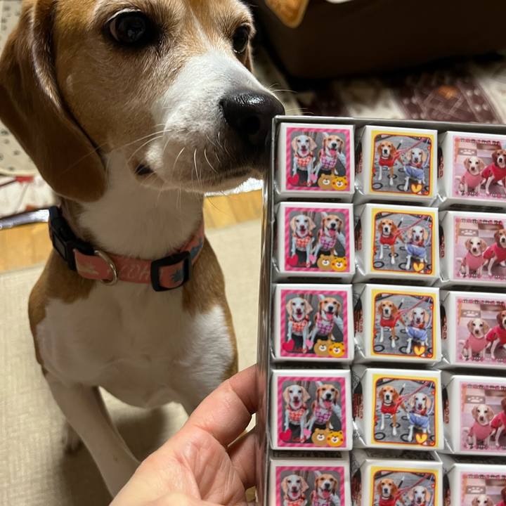 994d99d5 f9ae 4909 942e 8d3f47cc0476 1773318791150