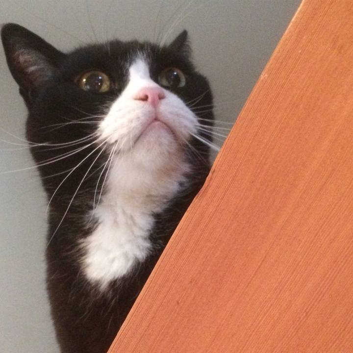 994db32a 557e 49bc 93fe fc89eb9630ec 1525952488416