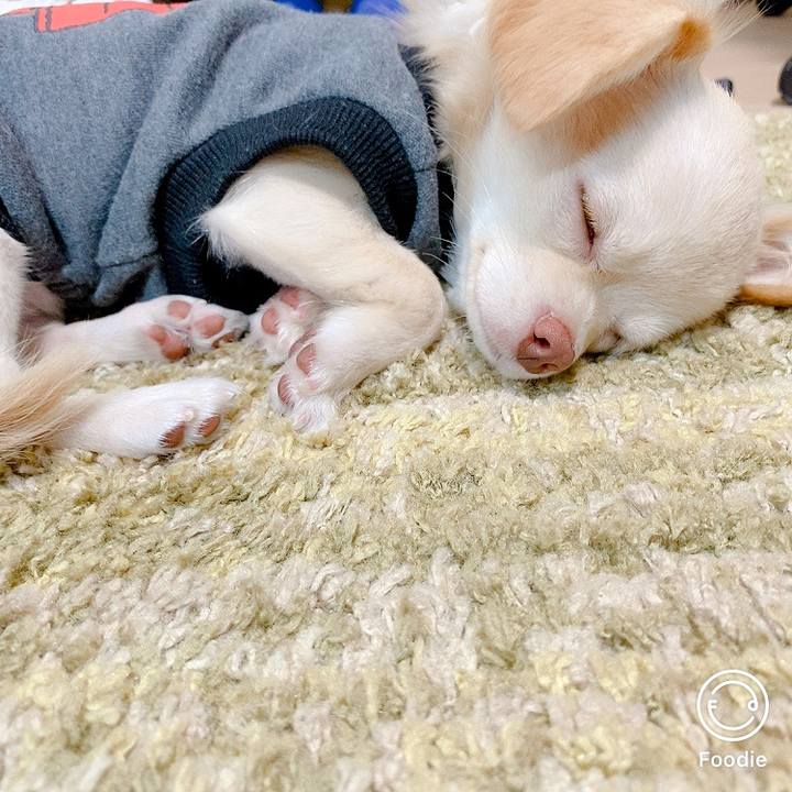 994e0ca0 4a93 4ad2 82ac e22e3c6eebf8 1601018464641