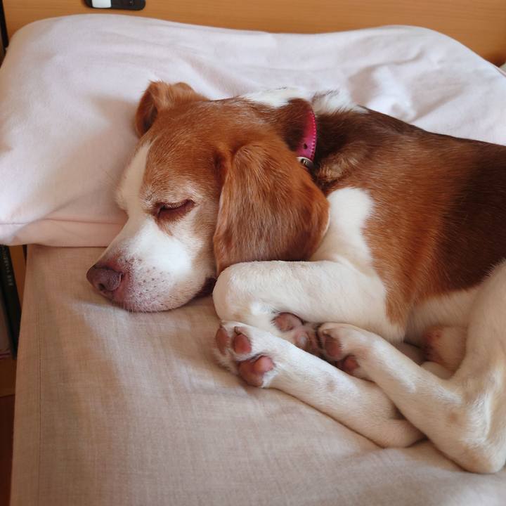 994e20d0 9500 4668 986e 967852328bda 1751329503681