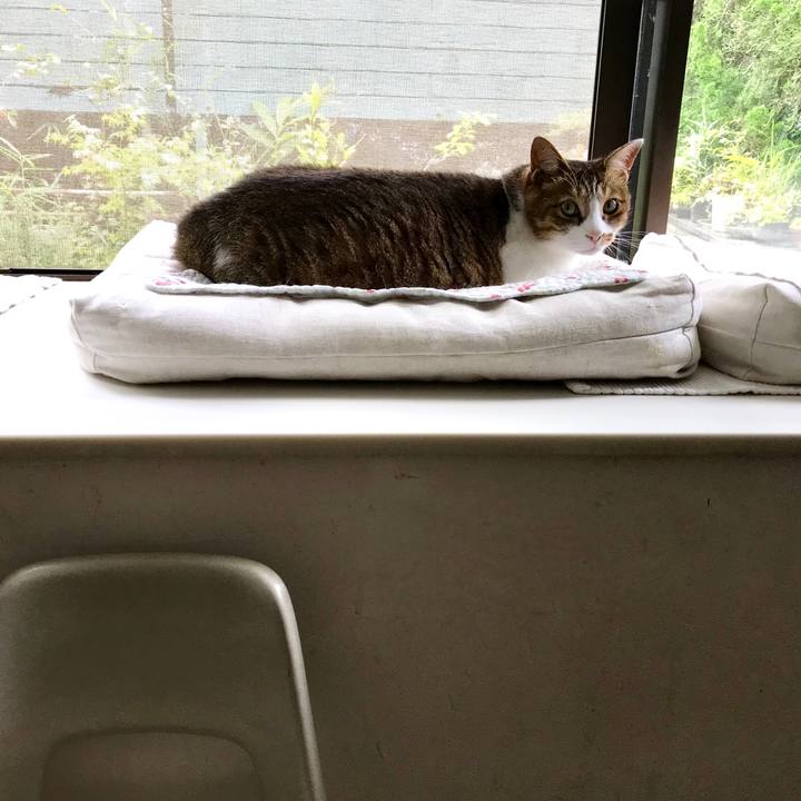 994e23e9 86c2 4923 b4a7 9179214a6521 1563693492291