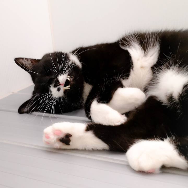 994e3502 c254 472e afbf 4691e1c153ca 1577723424720