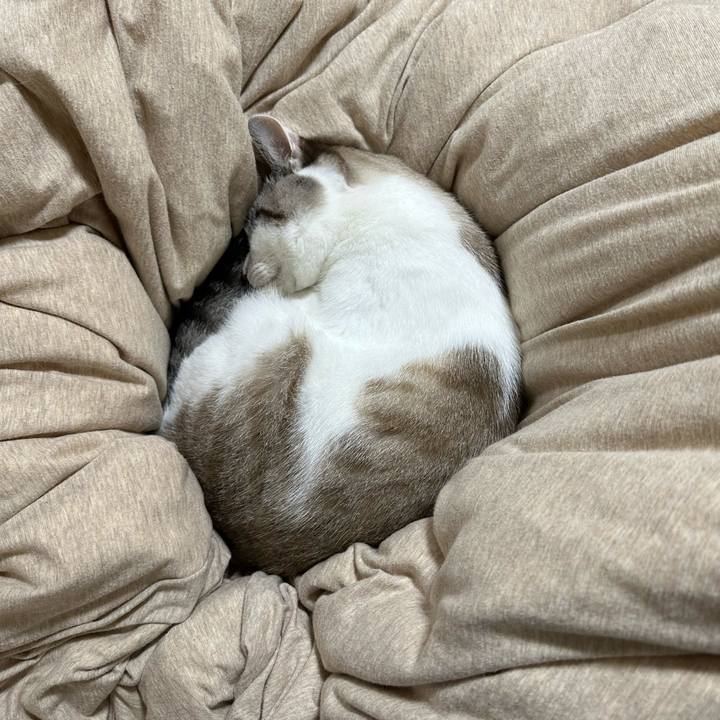 994e3719 f82b 424d b7ea 47bd820e34c5 1728524722403