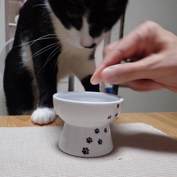 994e43f9 29c1 40f8 860f 2616f7871e3c 1535369128403