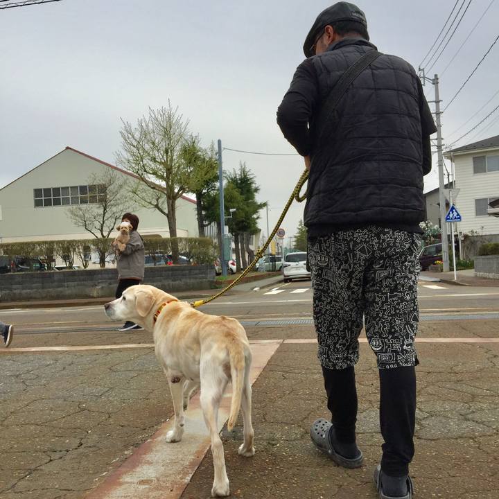 994e5a8e 016d 4b65 b944 6d0219ff2b03 1523942065542