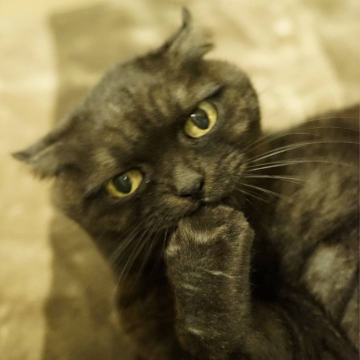 994e6950 ec88 4053 b60a f96c90edda5b 1575731805543