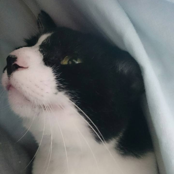 994e6d5d 913f 4bb4 8e9b a335106a171a 1508816936717