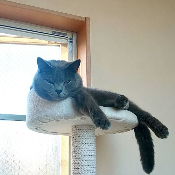 994e7d9f 0894 4c31 9fc6 852db02c2292 1569479652872