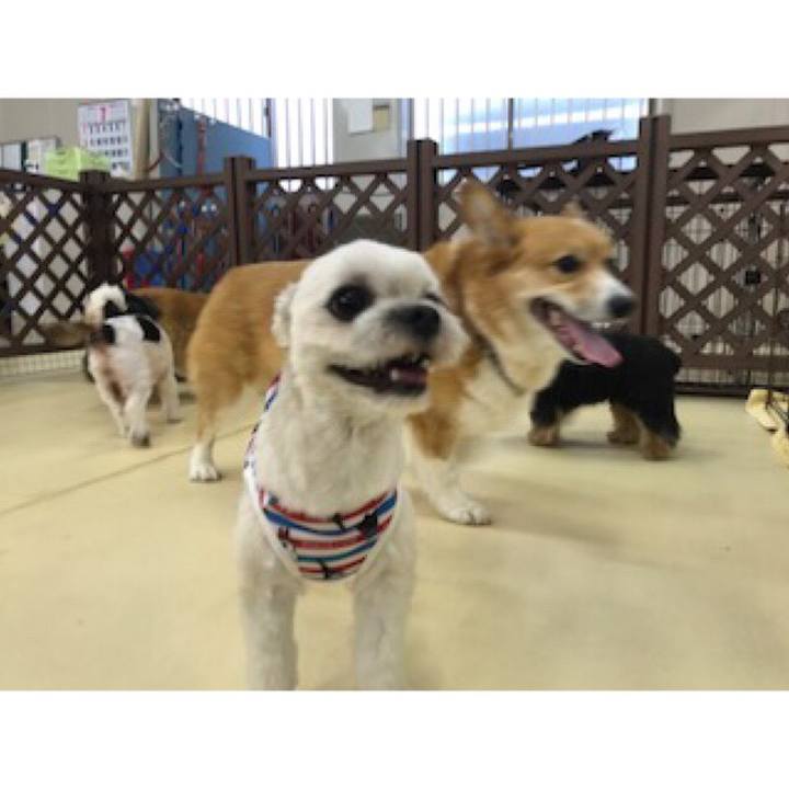 994e8c84 7150 425c 8971 9ba0d89d1158 1531393994046