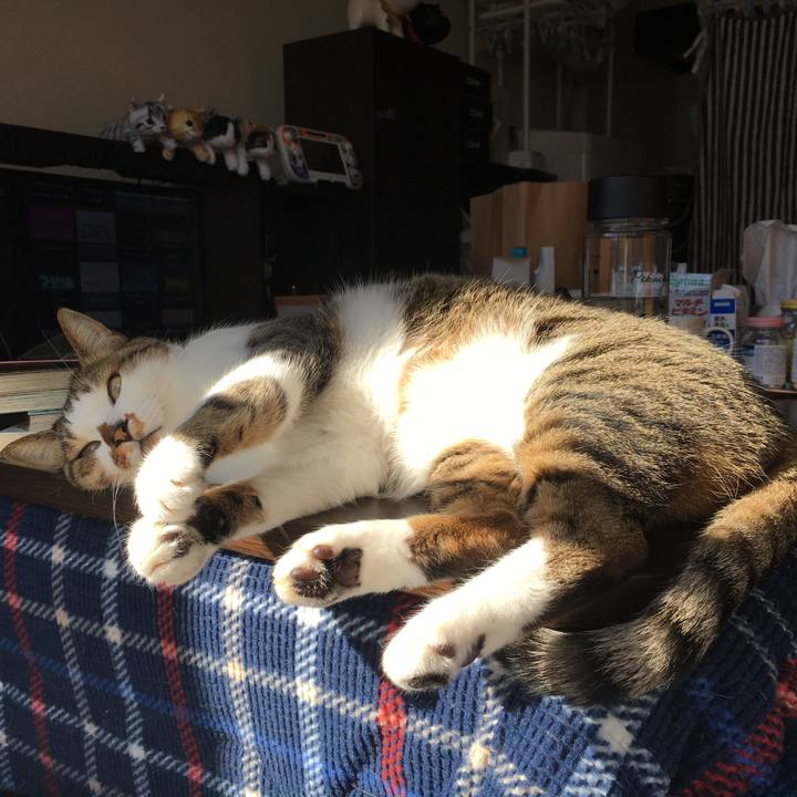 994ec58e 4132 4757 a18b 938e19bfd5a7 1513667185989