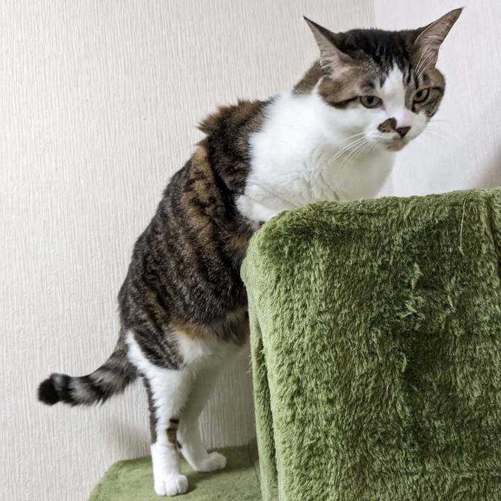 994ee196 4576 48f6 a150 76bd52d7eef4 1707808927930