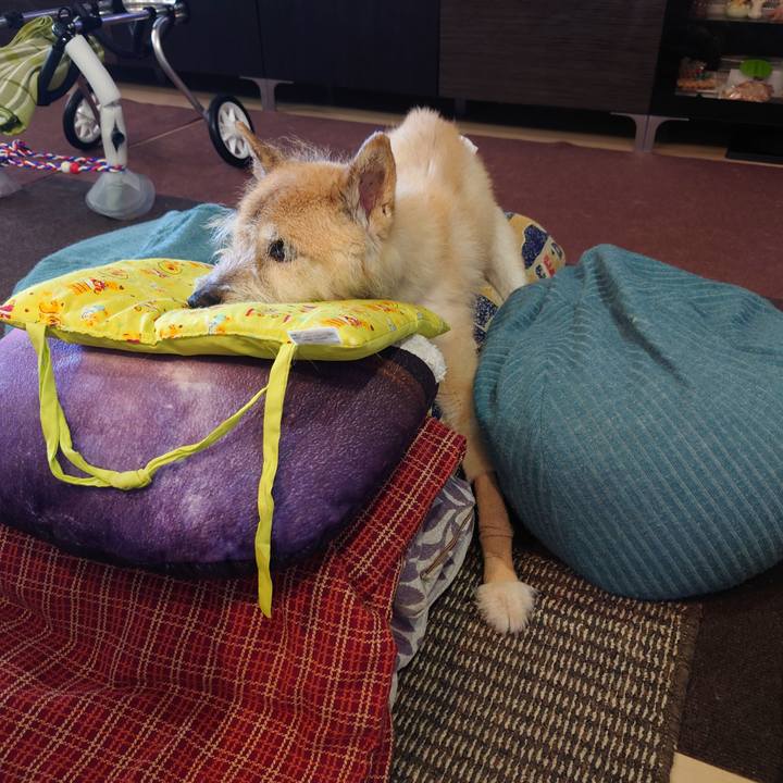 994eea81 8828 4ad3 bbdf bb46dbfeb5a0 1658114539853