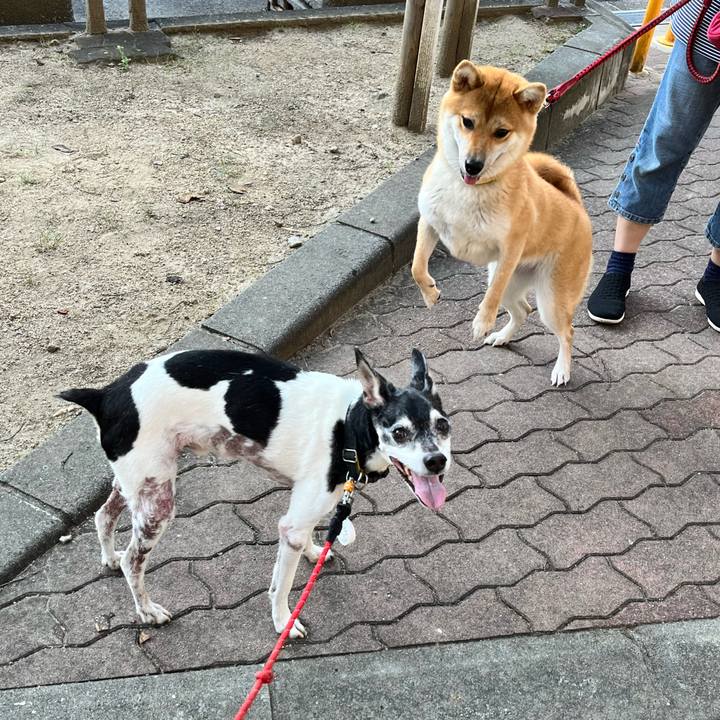 994f0268 8ec9 45d5 a482 fe11848cafbf 1656540060413