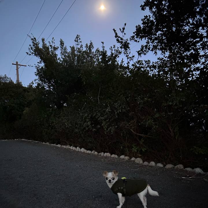 994f0fc8 552b 4350 815c b8cfe93d1149 1772356758960