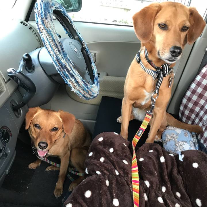 994f602e 66f4 4b50 94af ea6dfe1c63f4 1525164217945