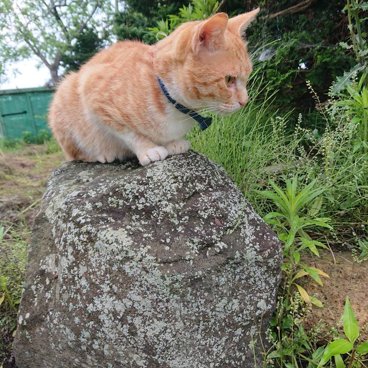 994f7482 82f3 40b4 9db5 8ff1ae7b08a1 1562013890613