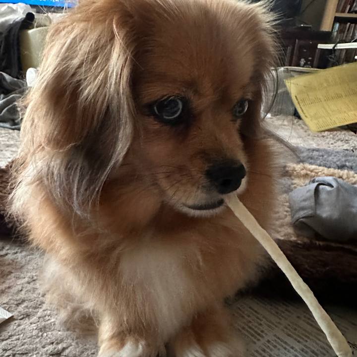 994fa65e 3641 4a35 87de bc00cf1ccb19 1687553870383