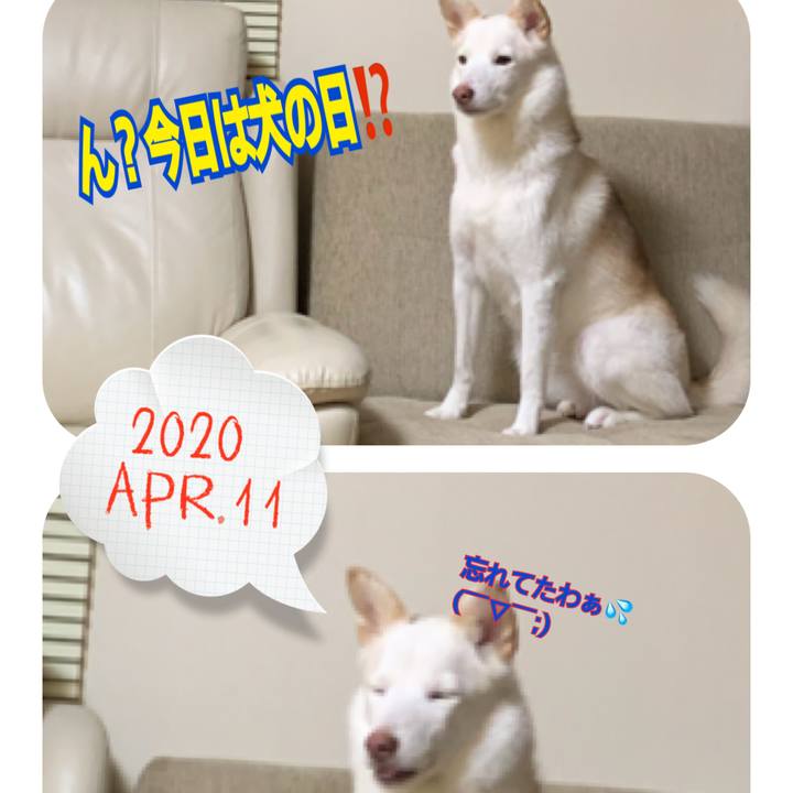 994fb276 f4b9 4395 a397 5d9e28d95ab8 1586574803492