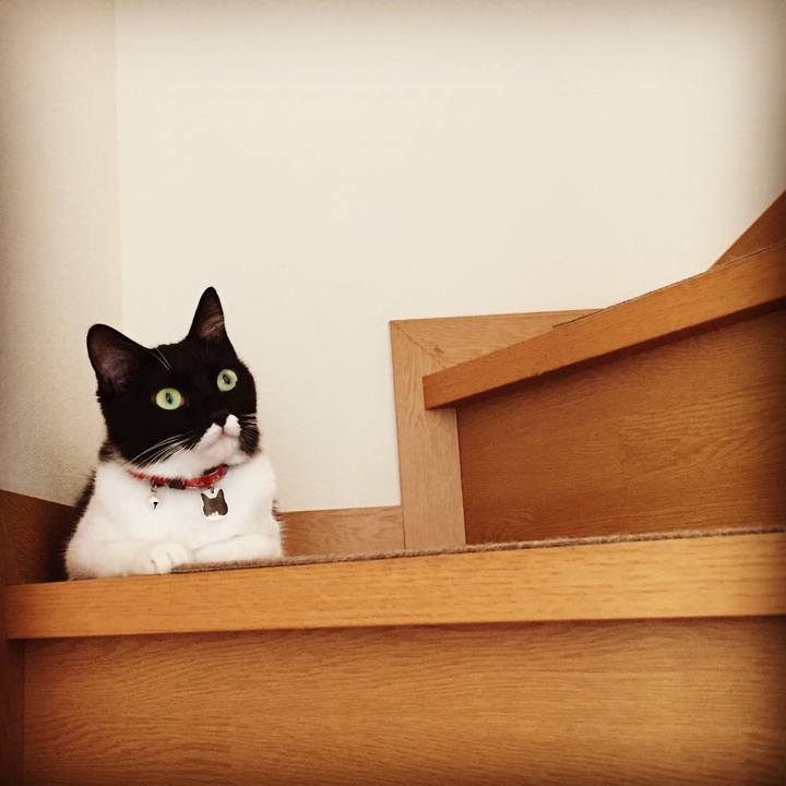 994fb4c0 3031 4edb aa66 123286ef7265 1536183235050