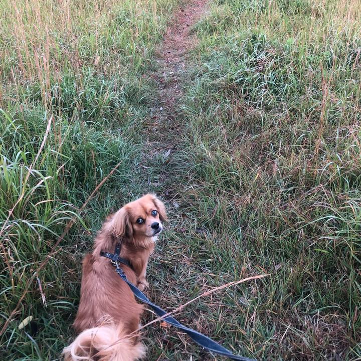 994fbffd 97ee 4a49 84d4 617482816dc5 1541886976936